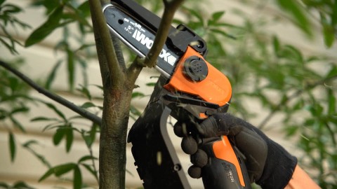 Potatore elettrico a batteria WORX WG324E - 20 Volt Litio - capacità di taglio 12cm